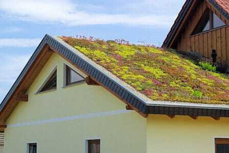 Keep Your Eco Roofing Fresh