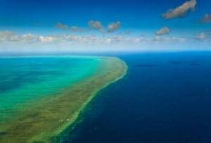 Preserving the Great Barrier Reef with Style